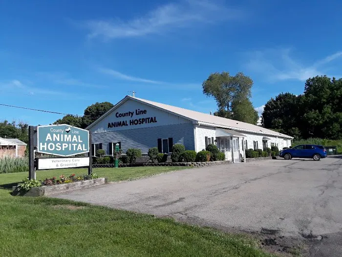 County Line Animal Hospital Picture 1