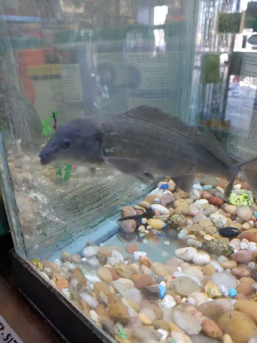 Golden's Tropical World Picture 2