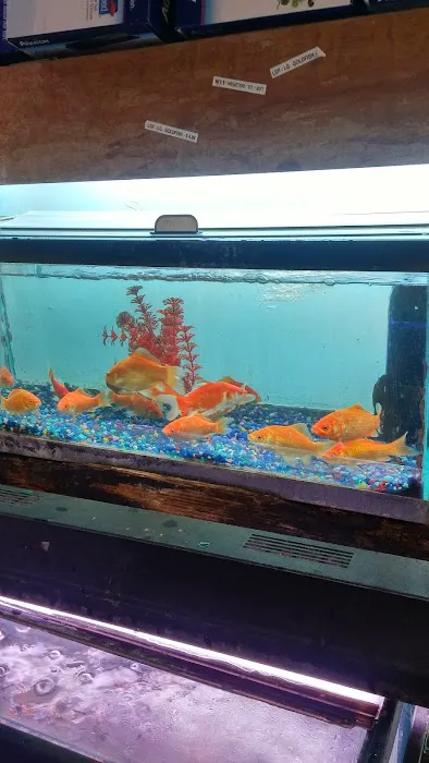 Golden's Tropical World Picture 5