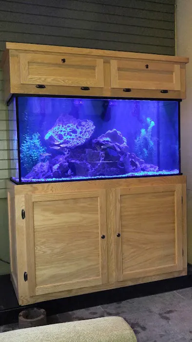 Aquatic World Picture 2