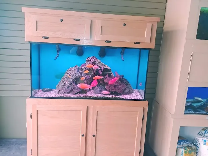 Aquatic World Picture 6