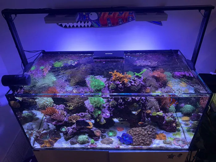 Aquatic World Picture 5