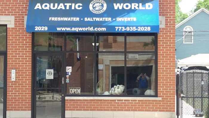 Aquatic World Picture 1