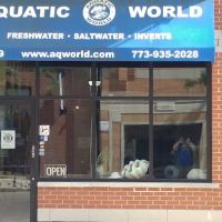 Aquatic World ico