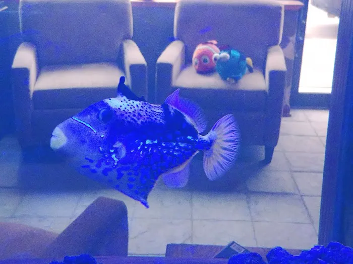 Aquatic World Picture 4