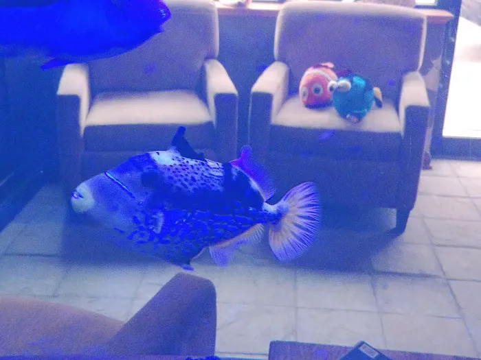 Aquatic World Picture 3
