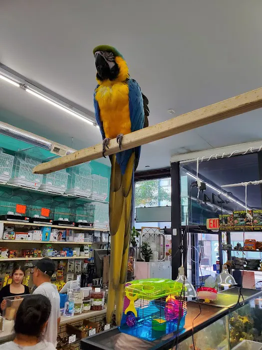 Jules Pet Shop Picture 4