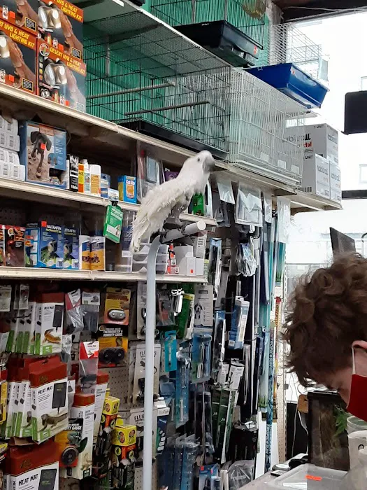 Jules Pet Shop Picture 2