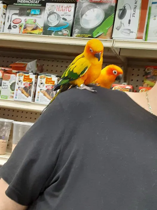 Jules Pet Shop Picture 1