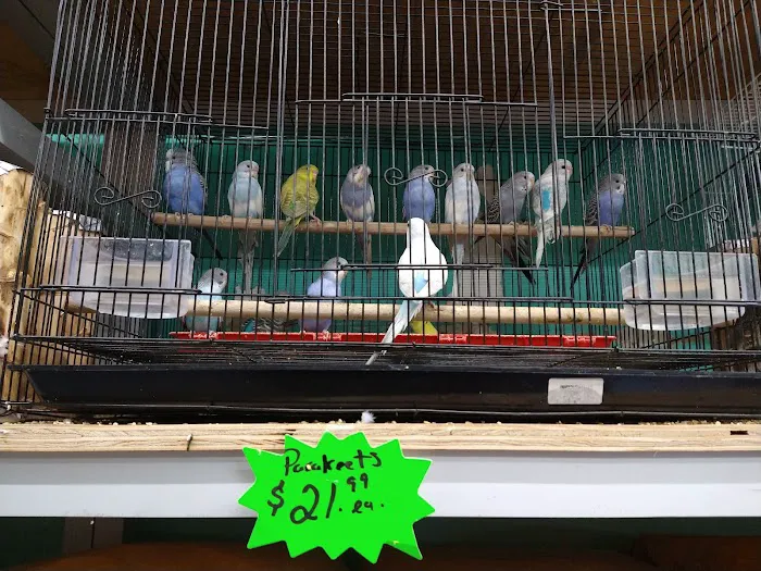 Jules Pet Shop Picture 8
