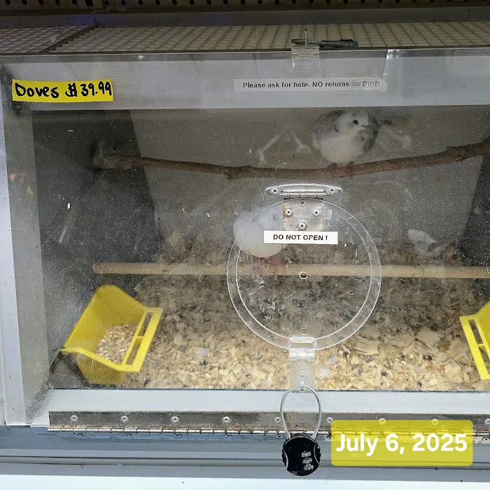 Jules Pet Shop Picture 10