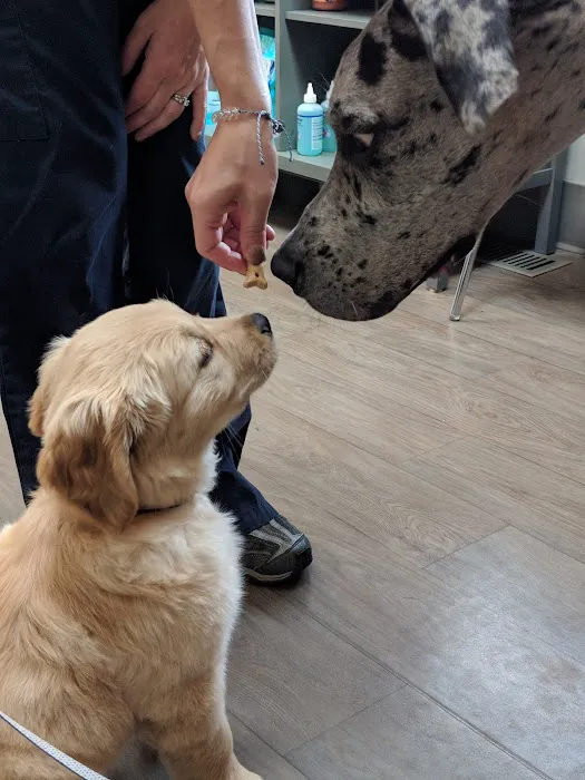 Webster Veterinary Clinic Picture 6