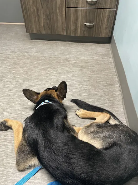 Webster Veterinary Clinic Picture 3