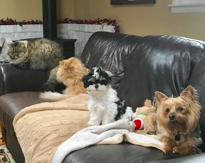 Webster Veterinary Clinic Picture 5