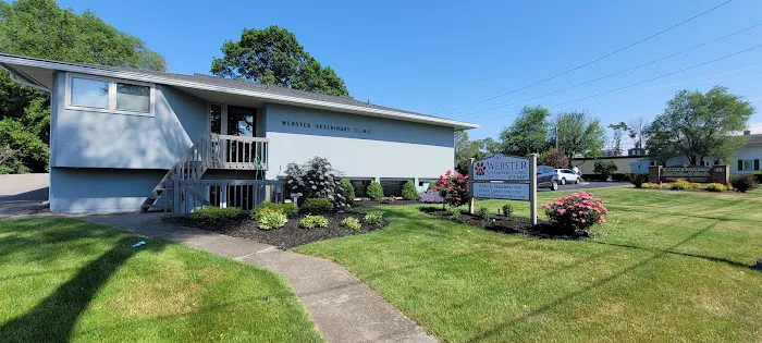 Webster Veterinary Clinic Picture 1