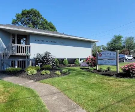 Webster Veterinary Clinic