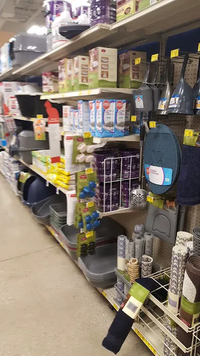 Petco Picture 4