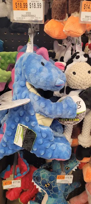 Petco Picture 8
