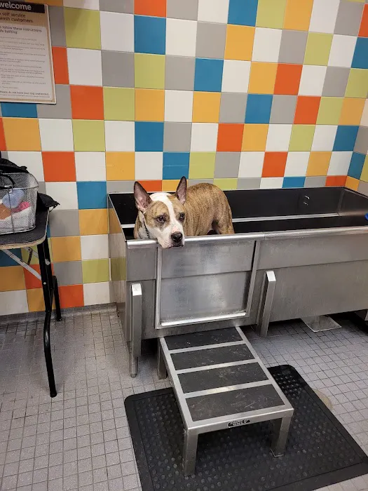 Petco Picture 6