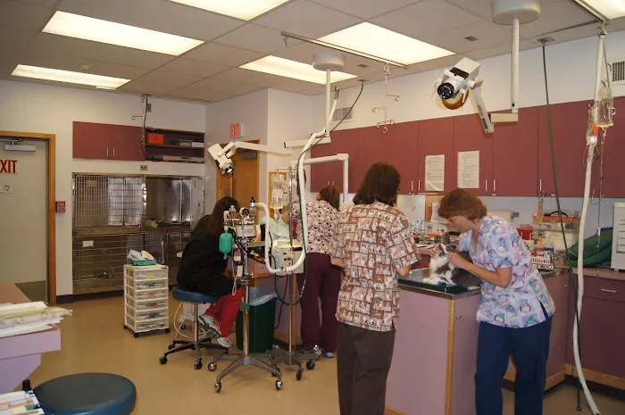 Clark Animal Care Center Picture 5