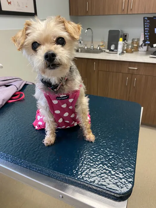 Clark Animal Care Center Picture 10