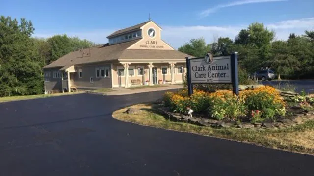 Clark Animal Care Center Picture 4