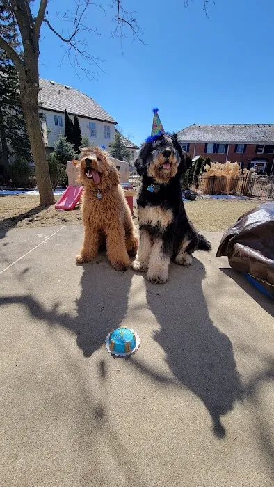 For Dog's Sake Picture 4