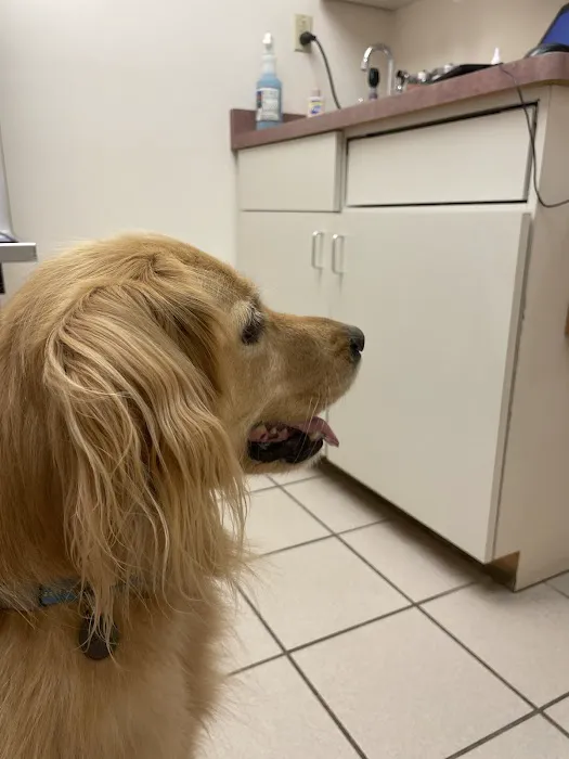 Fairport Animal Hospital Picture 4