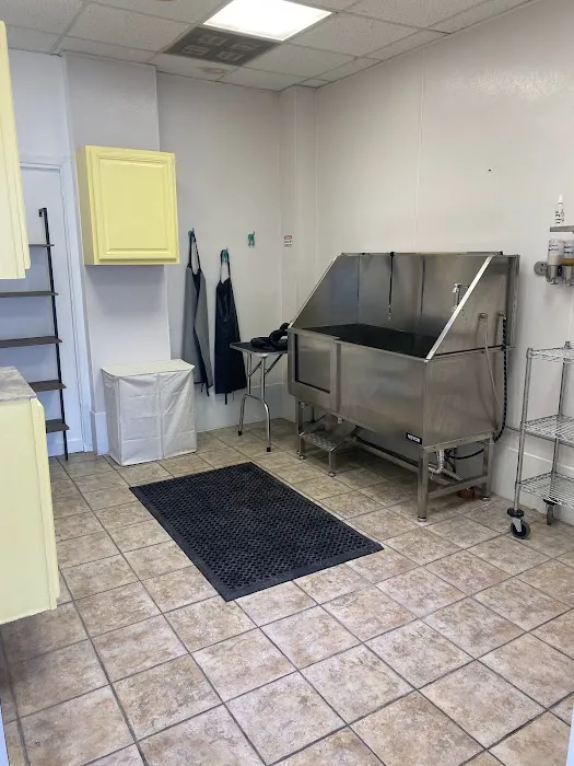 Le Barkery and Spa Picture 10