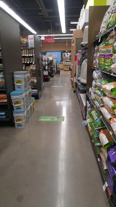 Petco Picture 2