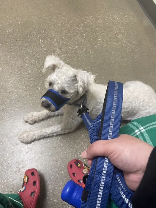 Petco Picture 4