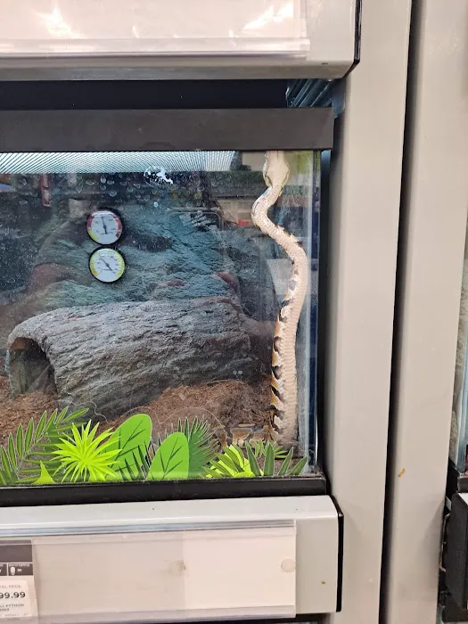 Petco Picture 10