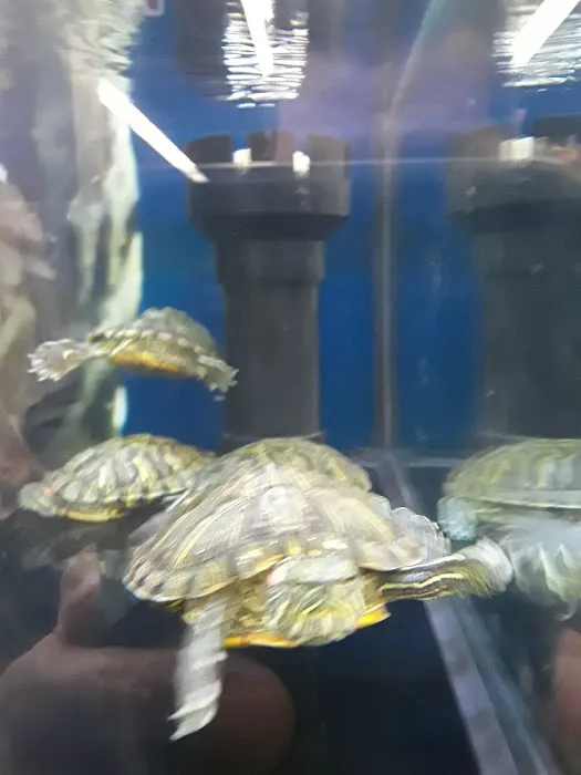 Petco Picture 1