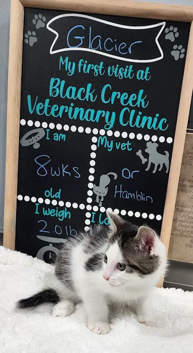 Black Creek Animal Clinic LLC Picture 10