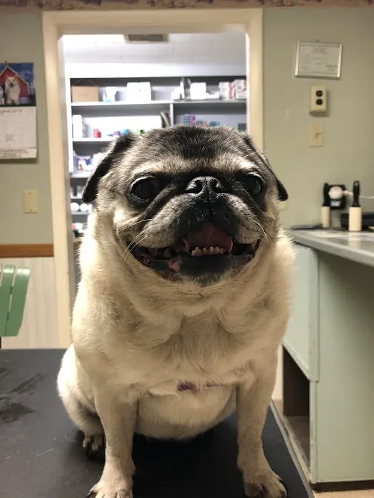 Black Creek Animal Clinic LLC Picture 7