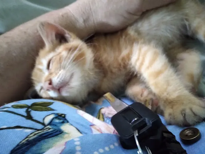 Black Creek Animal Clinic LLC Picture 8