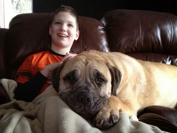 Black Creek Animal Clinic LLC Picture 9