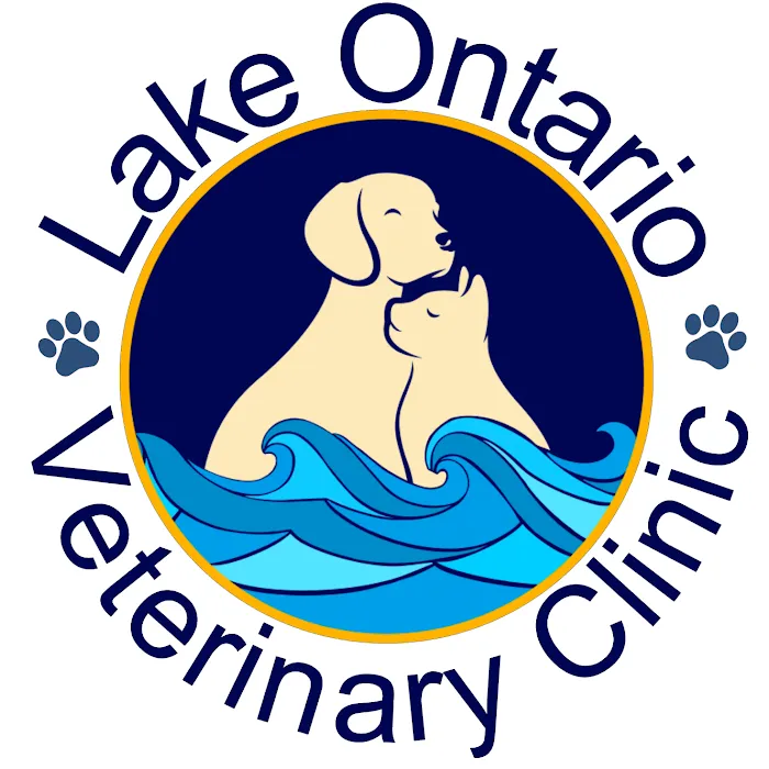 Lake Ontario Veterinary Clinic Picture 2