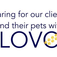 Lake Ontario Veterinary Clinic ico