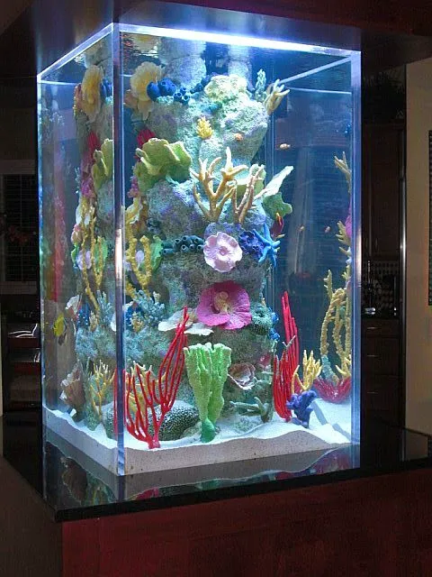 Blue Planet Aquarium Services Picture 1
