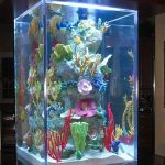 Blue Planet Aquarium Services
