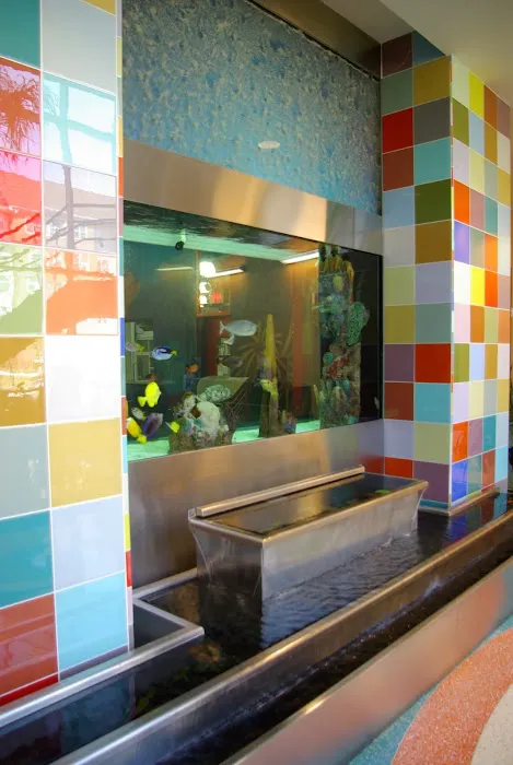 Blue Planet Aquarium Services Picture 8