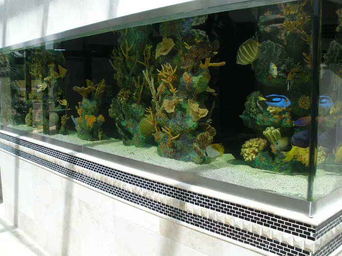Blue Planet Aquarium Services Picture 4