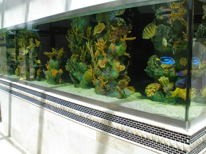 Blue Planet Aquarium Services Picture 7