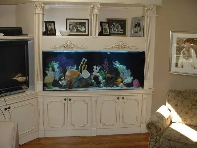 Blue Planet Aquarium Services Picture 3