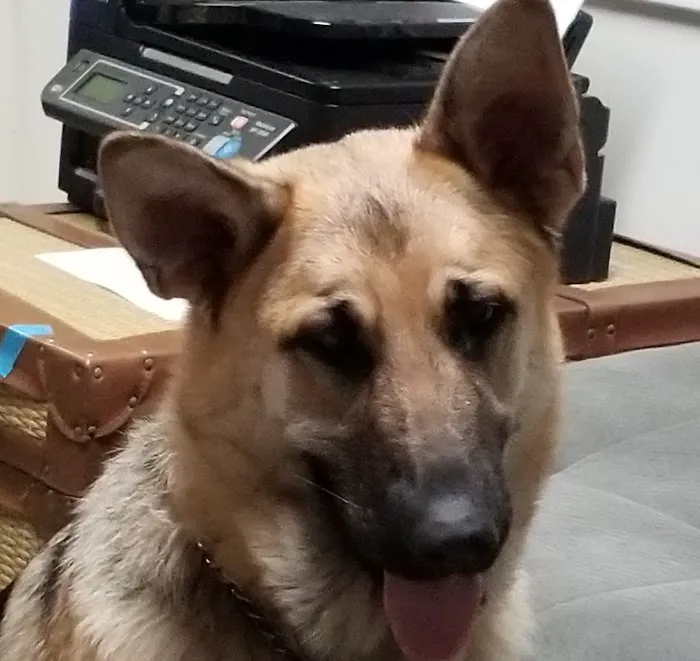 Tara Animal Hospital Picture 3