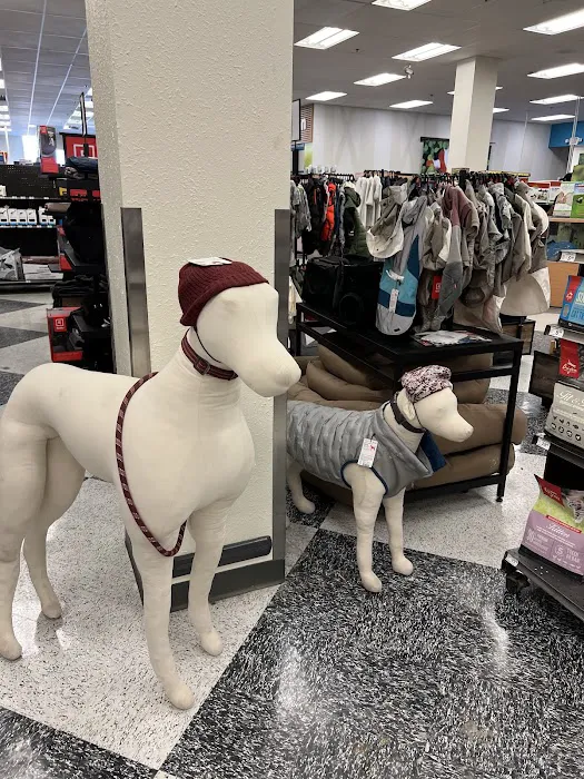 Petco Picture 4