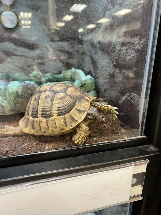 Petco Picture 3