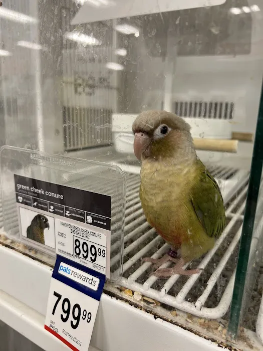 Petco Picture 5