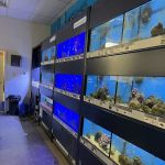 Petco